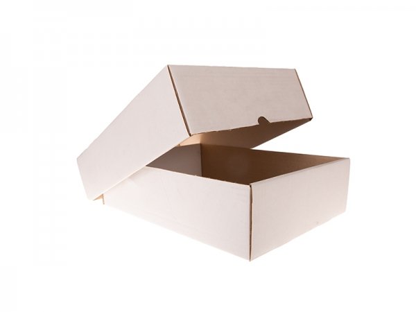 Dozen enkele golf bruin en wit - Kartonnen doos wit 34.5 x 25.5 x 9 cm WK 330 50